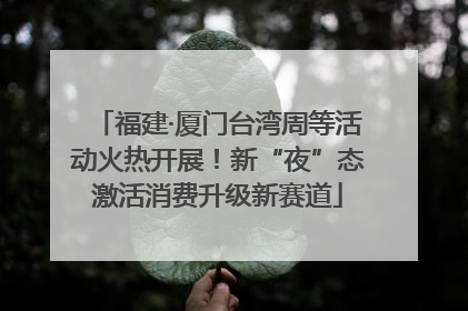 福建·厦门台湾周等活动火热开展！新“夜”态激活消费升级新赛道
