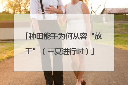 种田能手为何从容“放手”（三夏进行时）