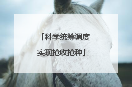 科学统筹调度实现抢收抢种