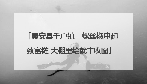 秦安县千户镇：螺丝椒串起致富链 大棚里绘就丰收图