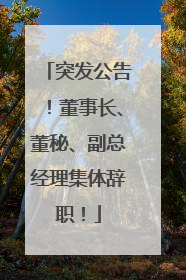 突发公告！董事长、董秘、副总经理集体辞职！
