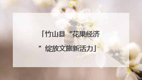 竹山县“花果经济”绽放文旅新活力