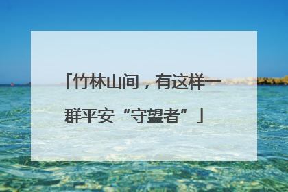 竹林山间，有这样一群平安“守望者”