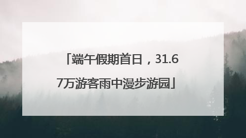 端午假期首日，31.67万游客雨中漫步游园