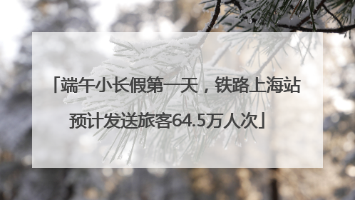 端午小长假第一天，铁路上海站预计发送旅客64.5万人次