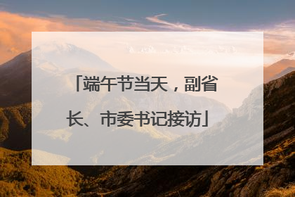 端午节当天，副省长、市委书记接访