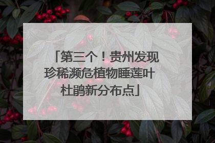 第三个！贵州发现珍稀濒危植物睡莲叶杜鹃新分布点