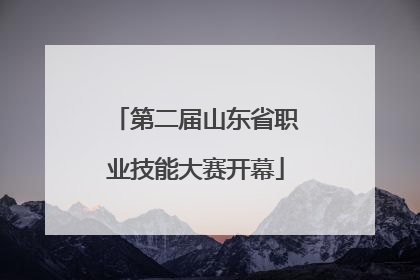 第二届山东省职业技能大赛开幕