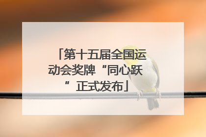 第十五届全国运动会奖牌“同心跃”正式发布
