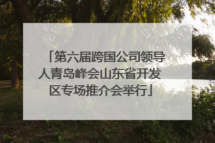 第六届跨国公司领导人青岛峰会山东省开发区专场推介会举行