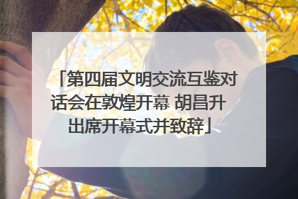 第四届文明交流互鉴对话会在敦煌开幕 胡昌升出席开幕式并致辞