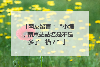 网友留言：“小编，南京站站名是不是多了一横？”