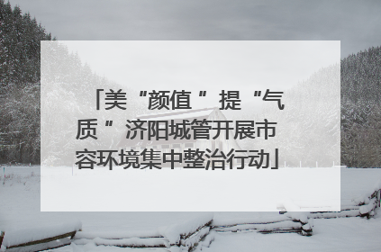 美“颜值 ”提“气质 ”济阳城管开展市容环境集中整治行动
