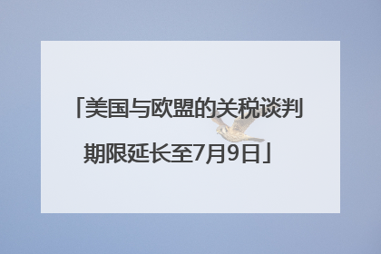 美国与欧盟的关税谈判期限延长至7月9日