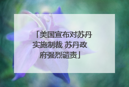 美国宣布对苏丹实施制裁 苏丹政府强烈谴责
