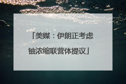 美媒：伊朗正考虑铀浓缩联营体提议