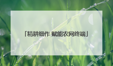 精耕细作 赋能农网终端