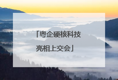 粤企硬核科技亮相上交会