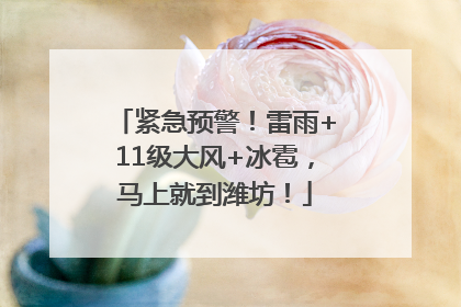 紧急预警！雷雨+11级大风+冰雹，马上就到潍坊！
