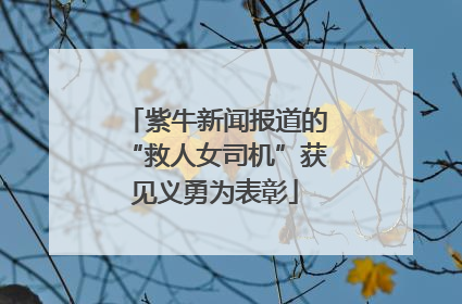 紫牛新闻报道的“救人女司机”获见义勇为表彰