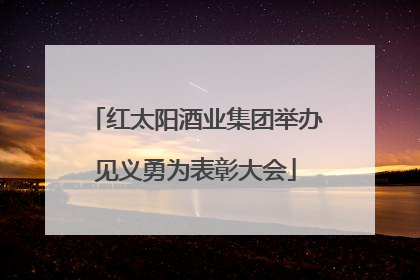 红太阳酒业集团举办见义勇为表彰大会