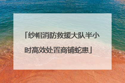 纱帽消防救援大队半小时高效处置商铺蛇患