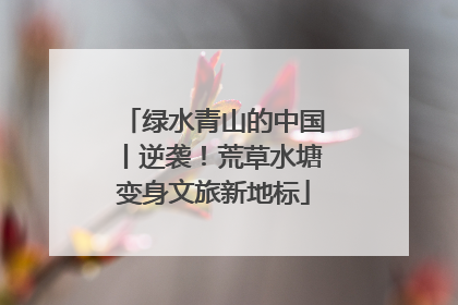 绿水青山的中国丨逆袭！荒草水塘变身文旅新地标
