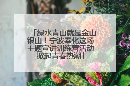 绿水青山就是金山银山！宁波奉化这场主题宣讲训练营活动掀起青春热潮