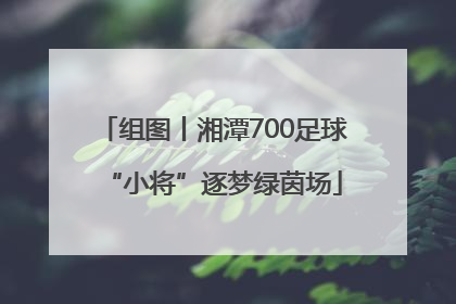 组图丨湘潭700足球“小将”逐梦绿茵场