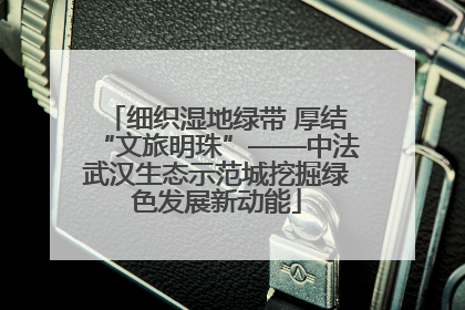 细织湿地绿带 厚结“文旅明珠”——中法武汉生态示范城挖掘绿色发展新动能