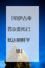 绍伊古奉普京委托已抵达朝鲜平壤