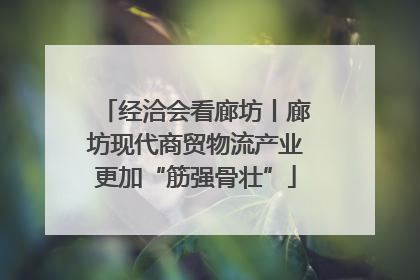 经洽会看廊坊丨廊坊现代商贸物流产业更加“筋强骨壮”