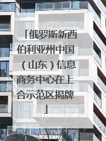 俄罗斯新西伯利亚州中国（山东）信息商务中心在上合示范区揭牌