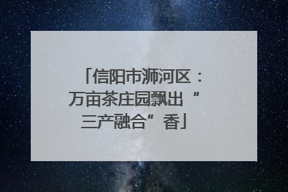 信阳市浉河区：万亩茶庄园飘出“三产融合”香