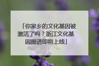 你家乡的文化基因被激活了吗？浙江文化基因图谱即将上线