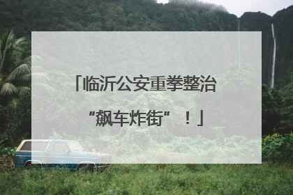 临沂公安重拳整治“飙车炸街”！