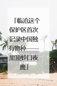 临沧这个保护区首次记录中国独有物种——黑顶蛙口夜鹰