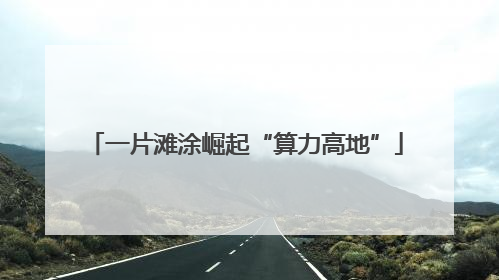 一片滩涂崛起“算力高地”
