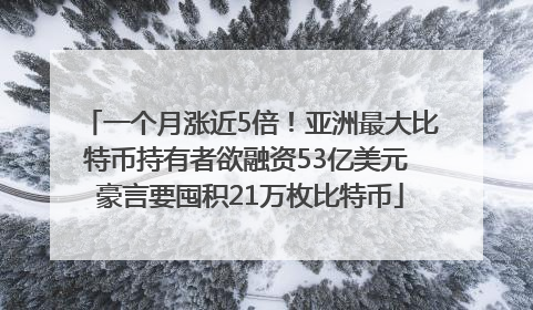 一个月涨近5倍！亚洲最大比特币持有者欲融资53亿美元 豪言要囤积21万枚比特币