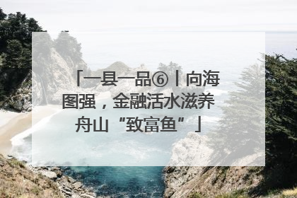 一县一品⑥丨向海图强，金融活水滋养舟山“致富鱼”