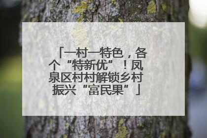 一村一特色，各个“特新优”！凤泉区村村解锁乡村振兴“富民果”