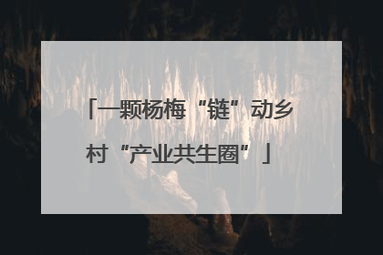 一颗杨梅“链”动乡村“产业共生圈”