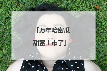 万年哈密瓜甜蜜上市了