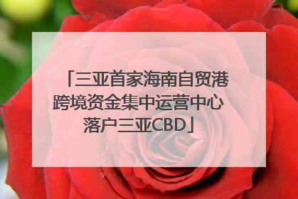 三亚首家海南自贸港跨境资金集中运营中心落户三亚CBD