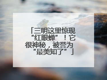 三明这里惊现“红眼蝉”！它很神秘，被誉为“最美知了”