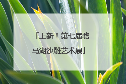 上新！第七届骆马湖沙雕艺术展