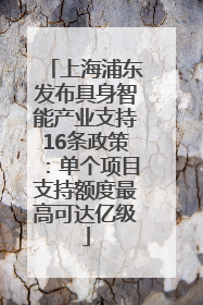 上海浦东发布具身智能产业支持16条政策：单个项目支持额度最高可达亿级