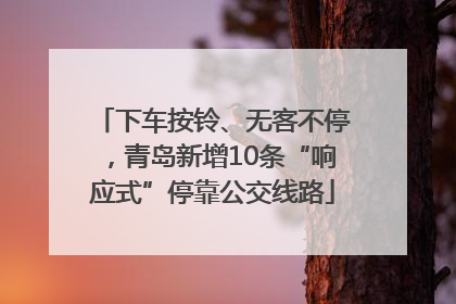 下车按铃、无客不停，青岛新增10条“响应式”停靠公交线路