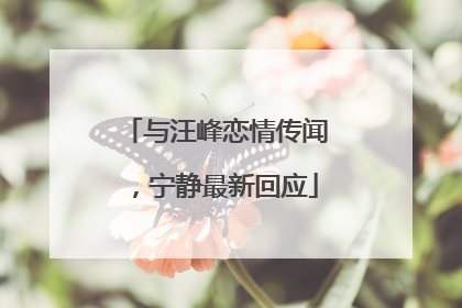 与汪峰恋情传闻，宁静最新回应