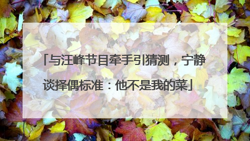 与汪峰节目牵手引猜测，宁静谈择偶标准：他不是我的菜